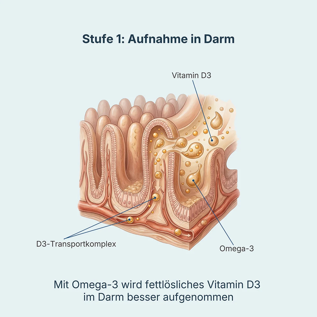 Feature list image
